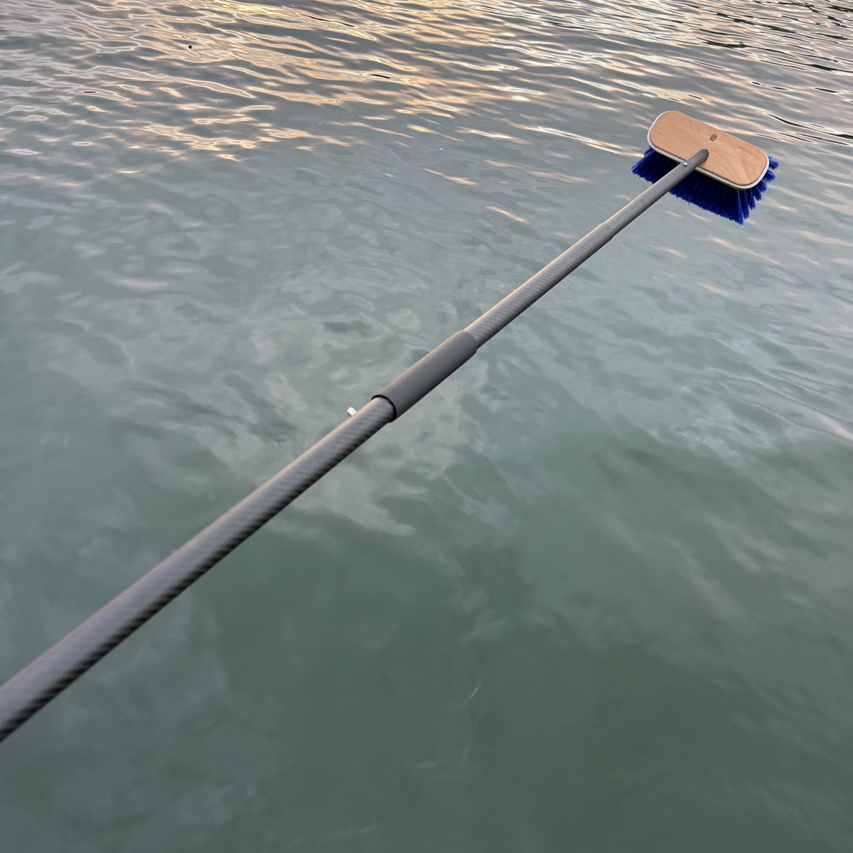 SWS Carbon Pole + Brush Combo